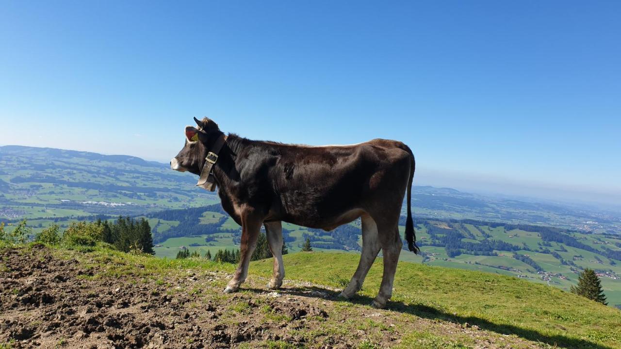 Allgaeu Bergluft Weitnau Dış mekan fotoğraf