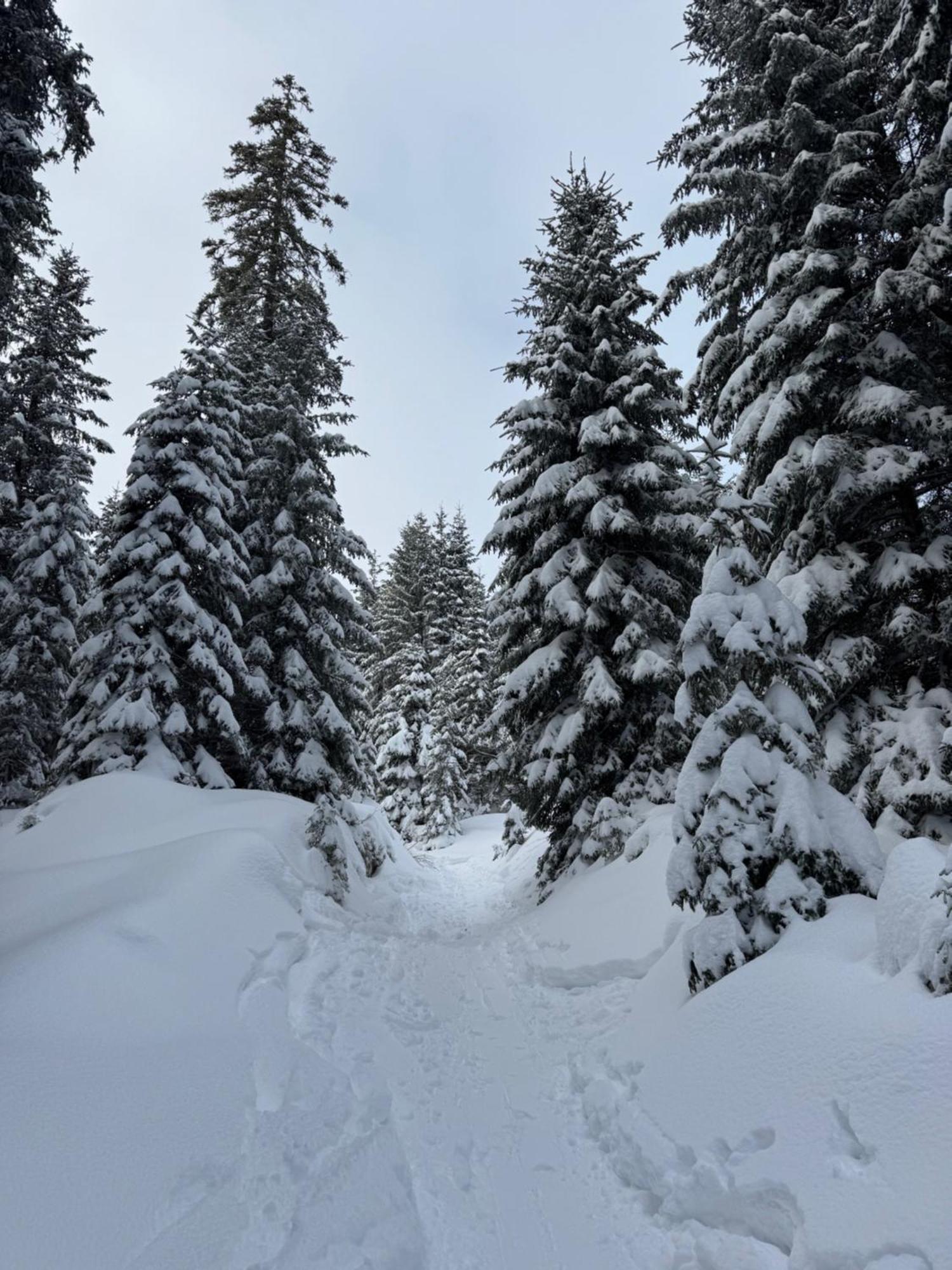 Allgaeu Bergluft Weitnau Dış mekan fotoğraf