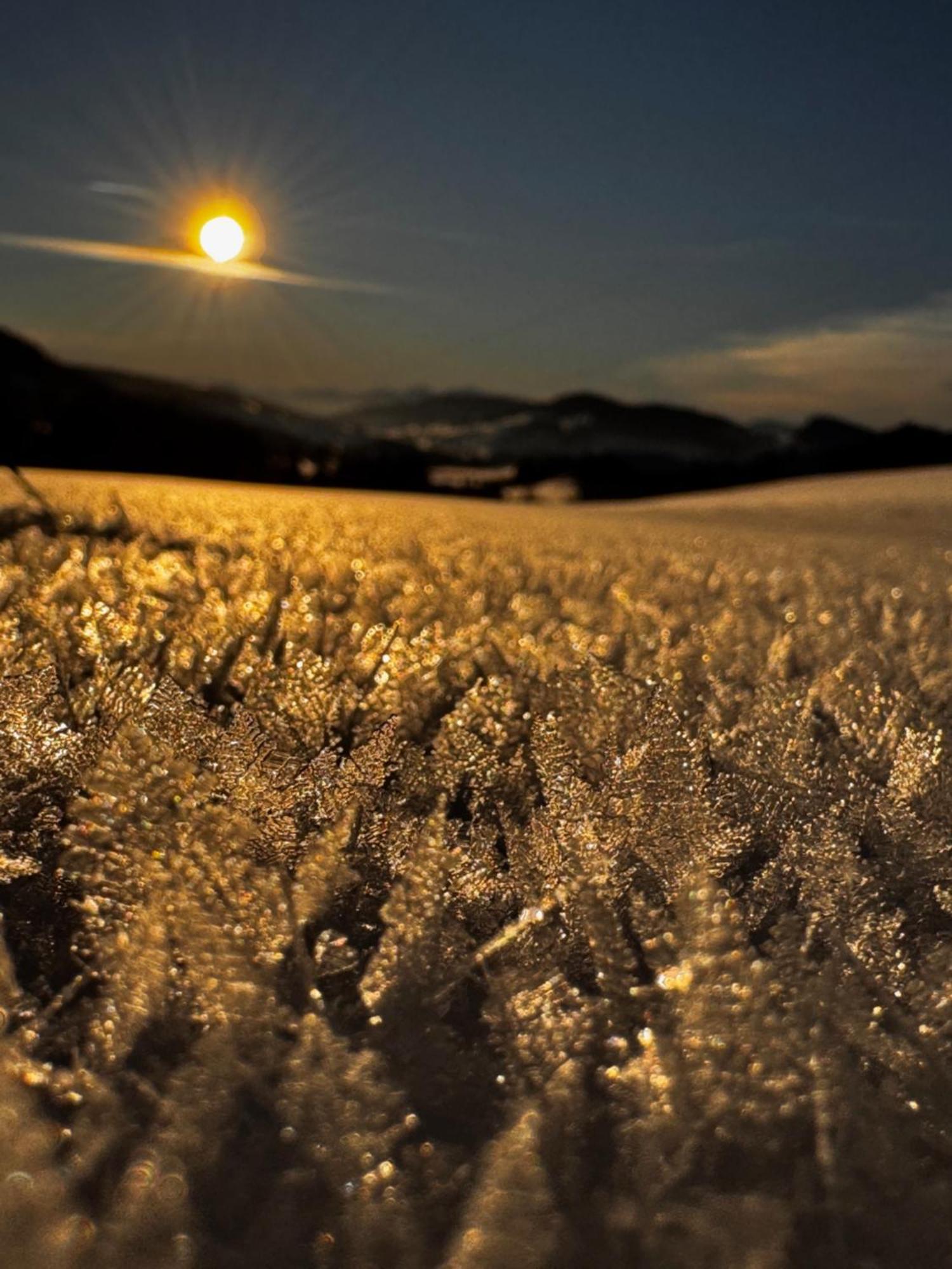 Allgaeu Bergluft Weitnau Dış mekan fotoğraf