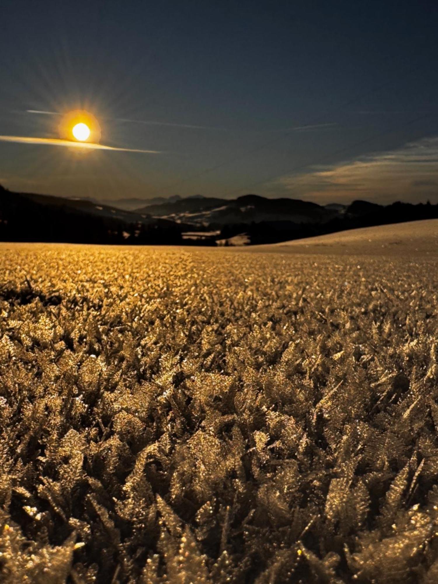 Allgaeu Bergluft Weitnau Dış mekan fotoğraf