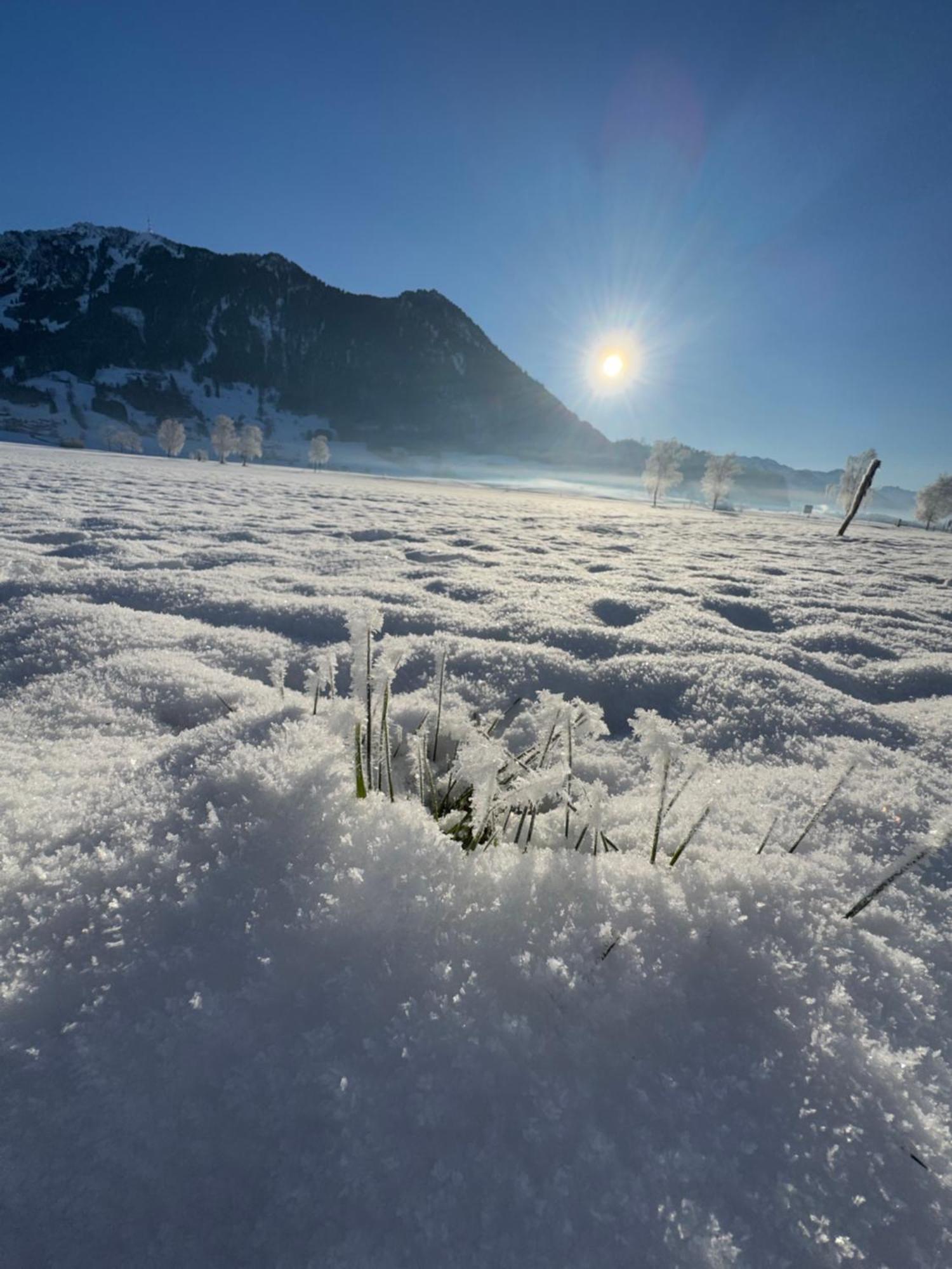 Allgaeu Bergluft Weitnau Dış mekan fotoğraf