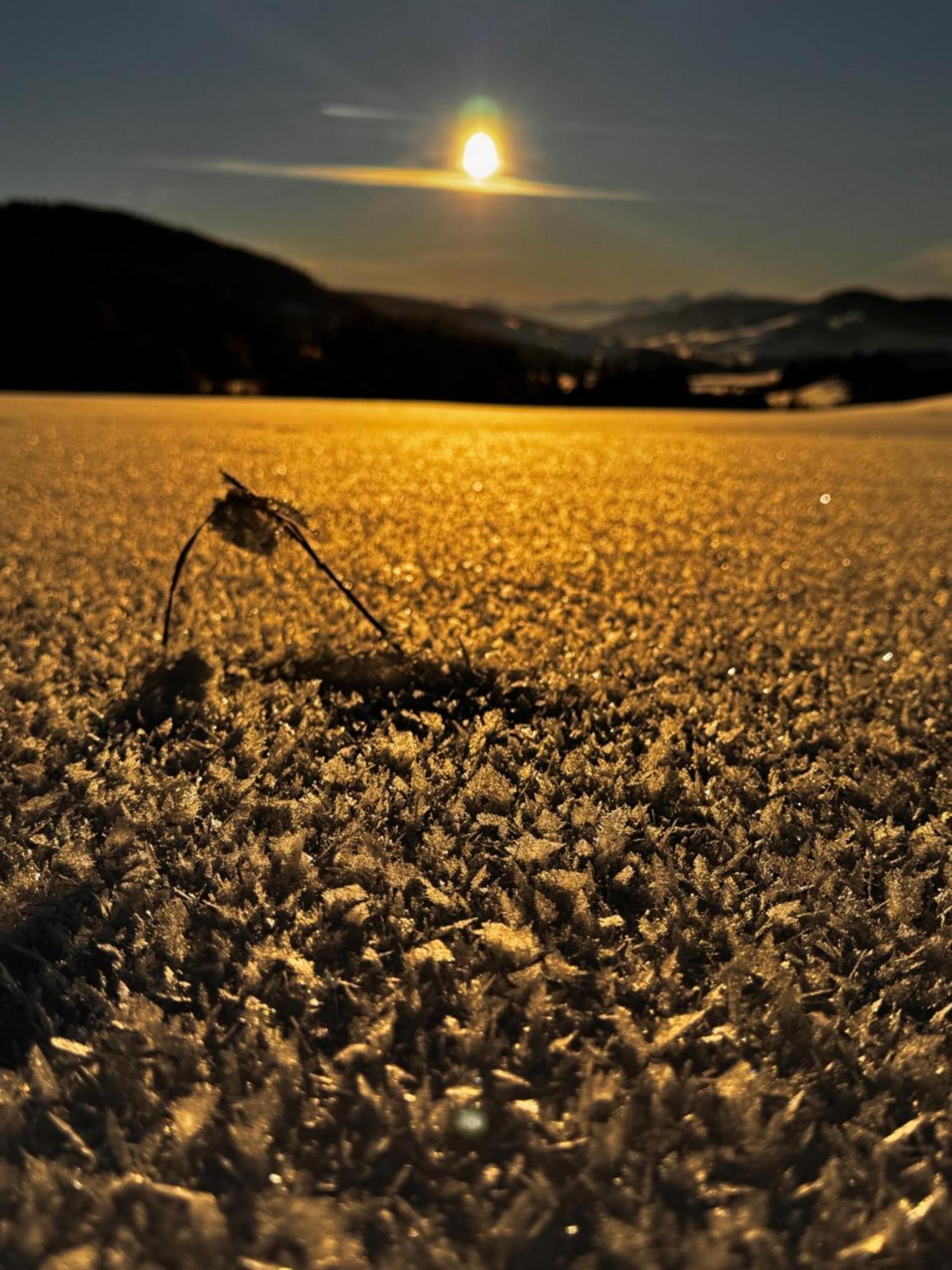 Allgaeu Bergluft Weitnau Dış mekan fotoğraf