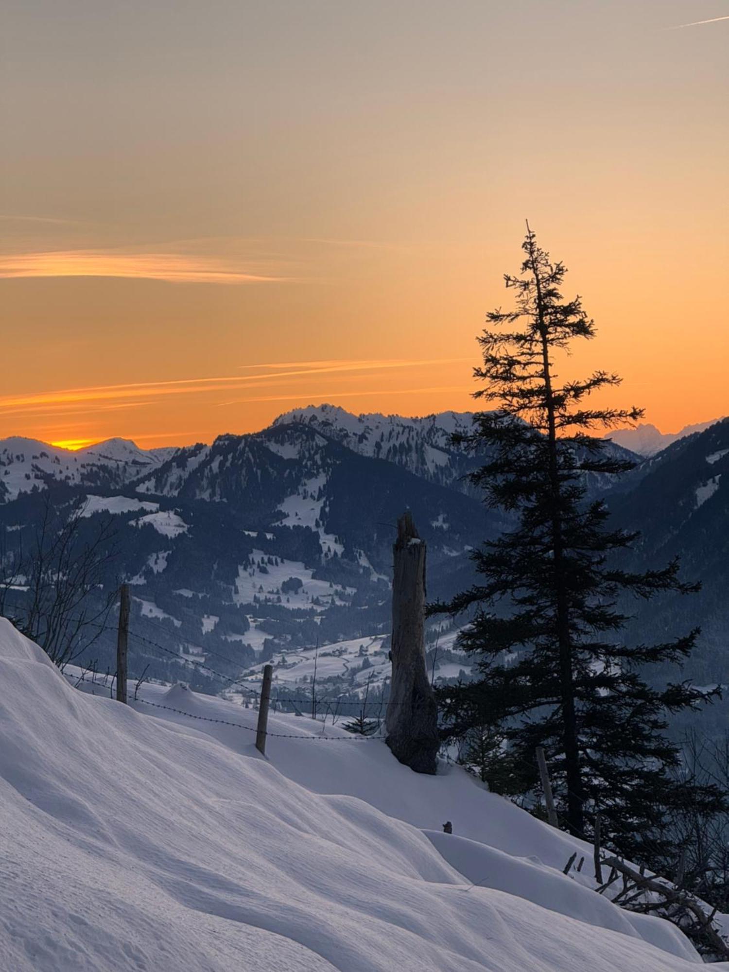 Allgaeu Bergluft Weitnau Dış mekan fotoğraf