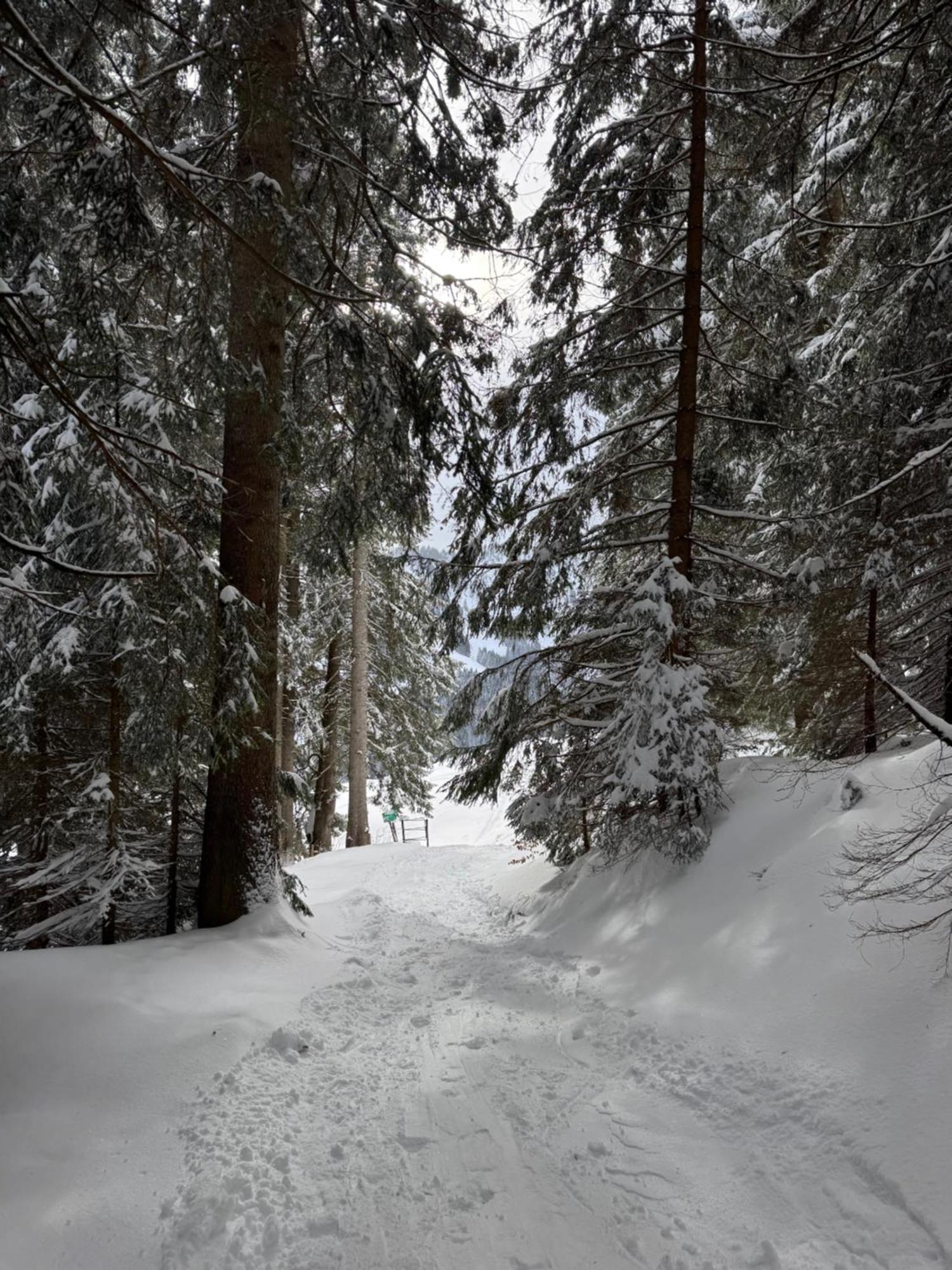 Allgaeu Bergluft Weitnau Dış mekan fotoğraf