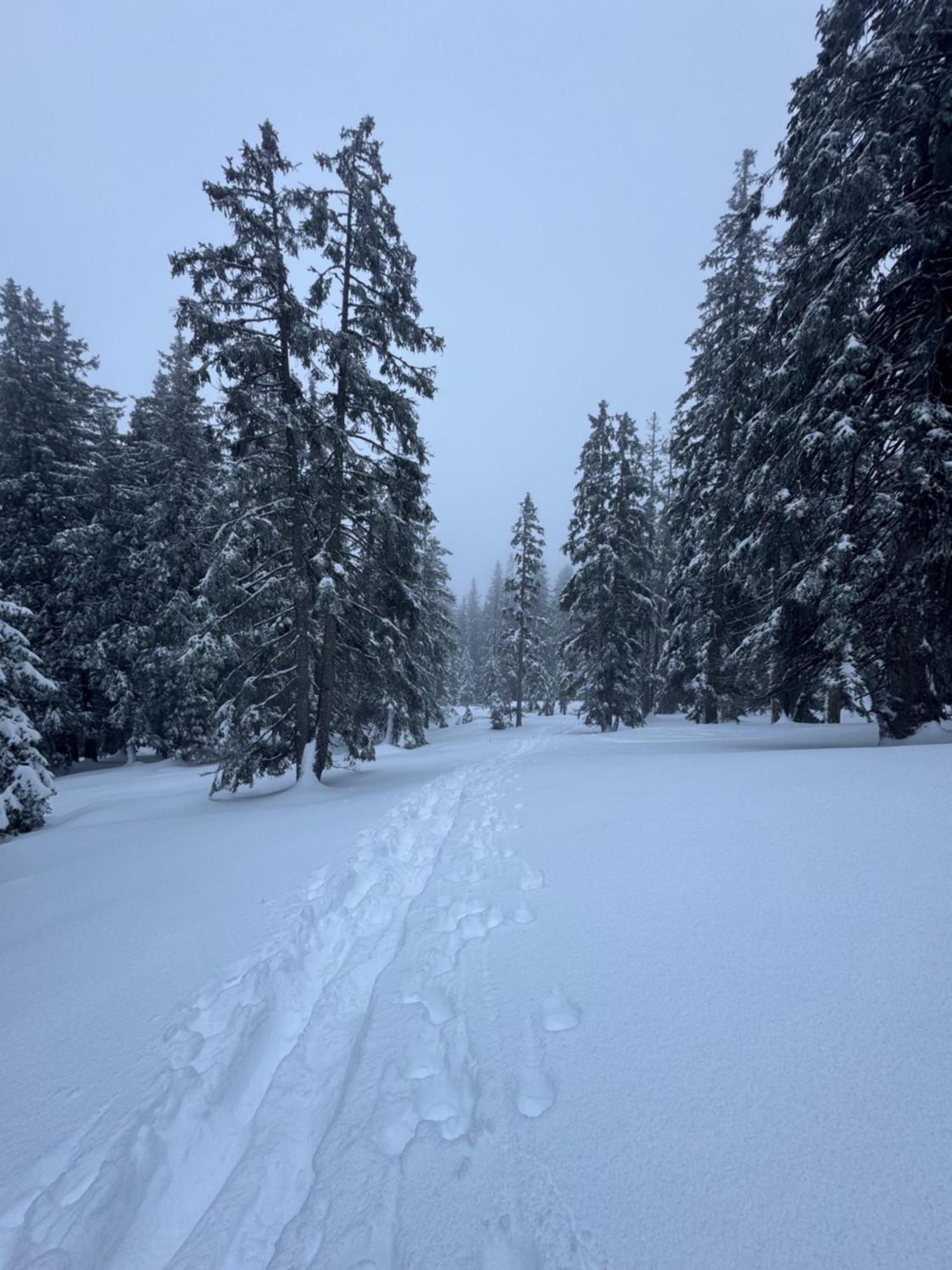 Allgaeu Bergluft Weitnau Dış mekan fotoğraf