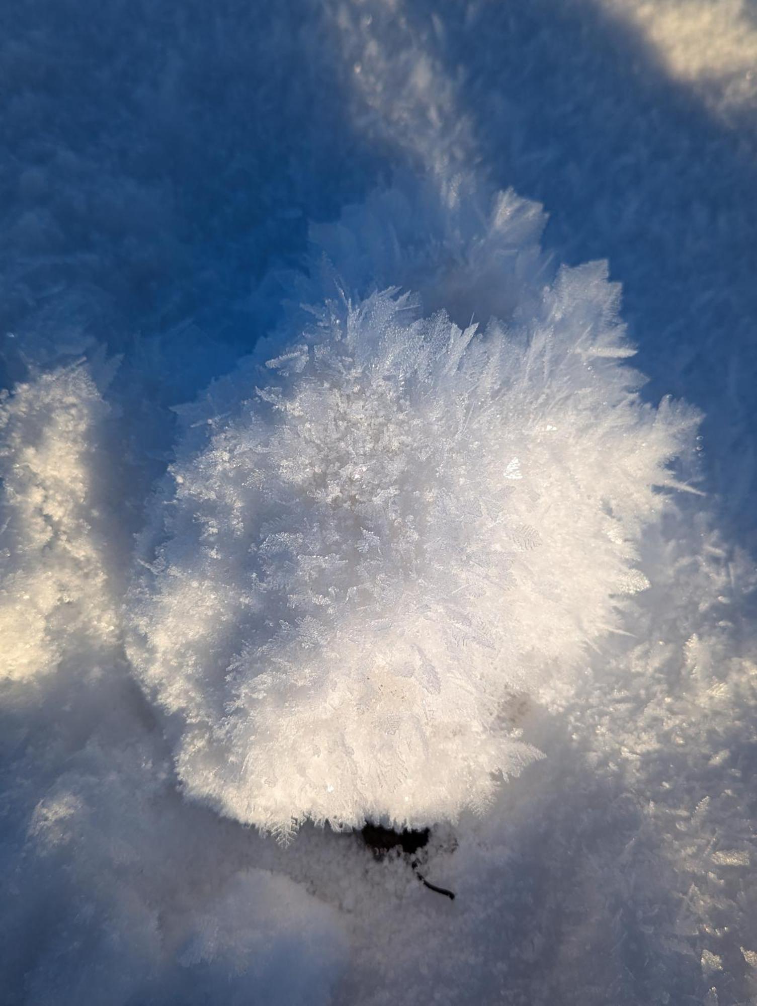 Allgaeu Bergluft Weitnau Dış mekan fotoğraf